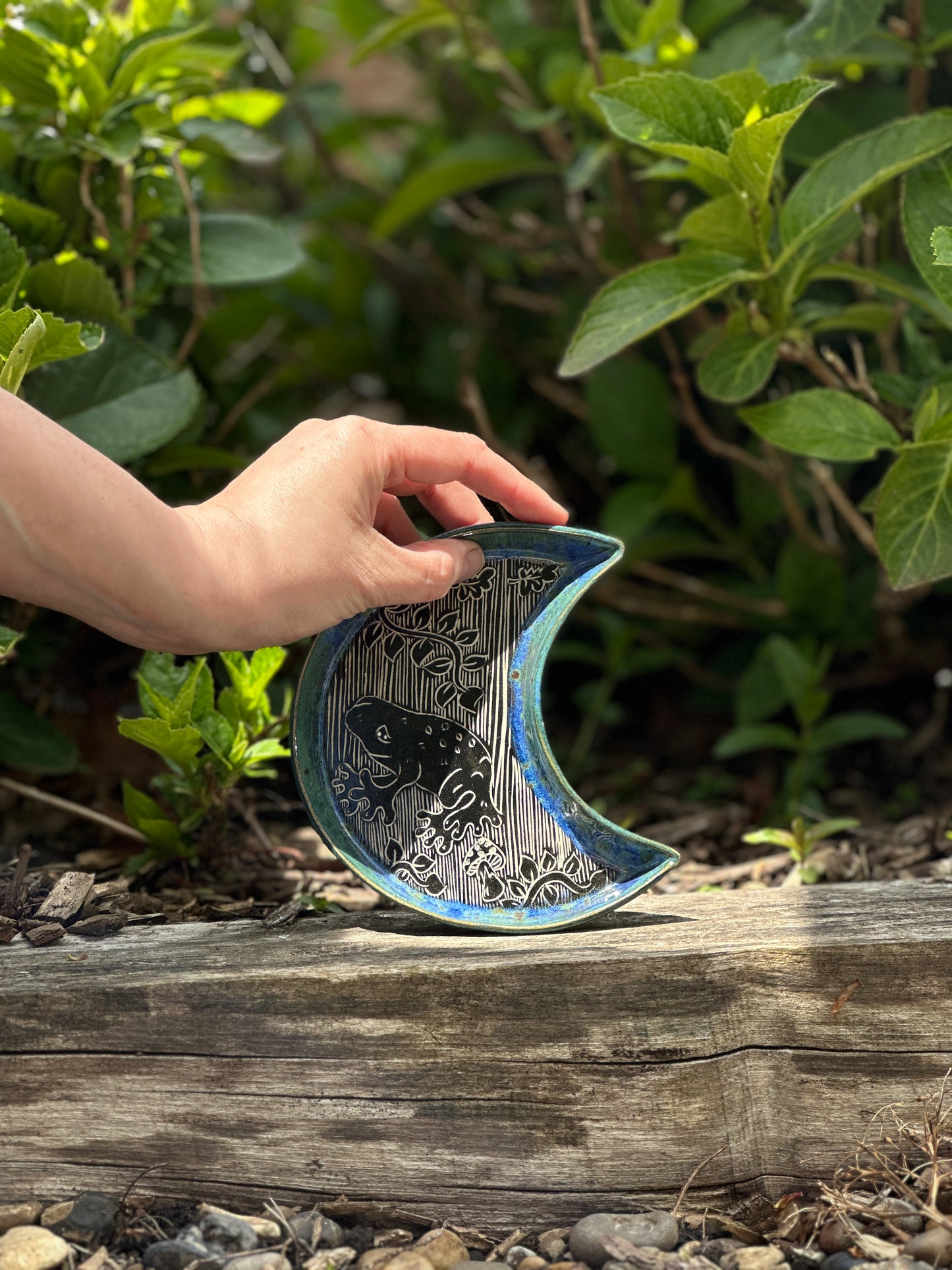 Frog Moon Tray