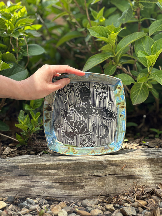 Corvid Plate