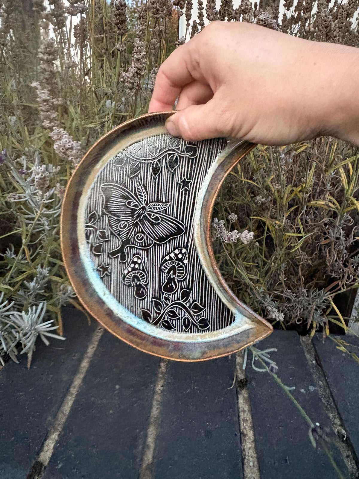 Moth Tray